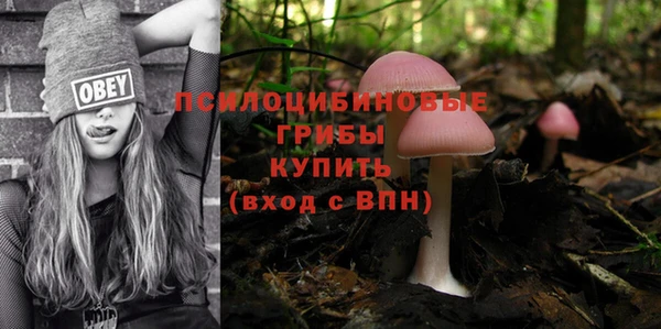 кокс Алексин